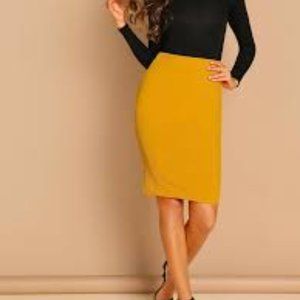 Rainbow Mustard Pencil Midi Skirt ( S )